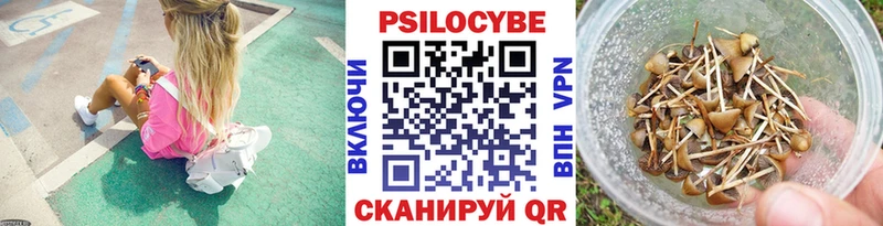 Псилоцибиновые грибы Cubensis  Камышин 