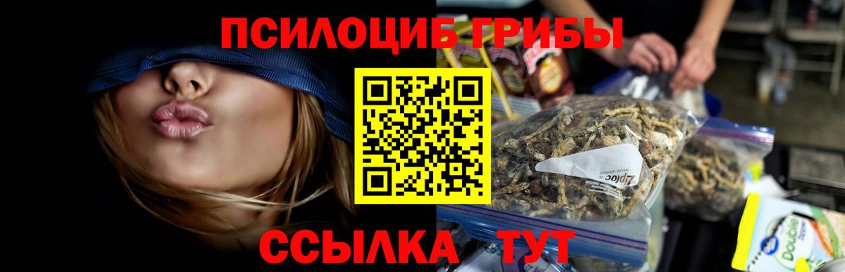 Камышин  Галлюциногенные грибы прущие грибы  Галлюциногенные грибы прущие грибы  Вход с VPN 