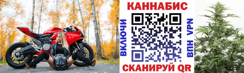 даркнет Telegram  блэк спрут зеркало  Камышин  Бошки марихуана VHQ 